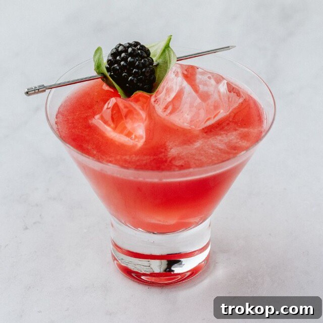 Pucker Up: Exploring the Universe of Sour Cocktails 21 Black Widow Cocktail for sour cocktails