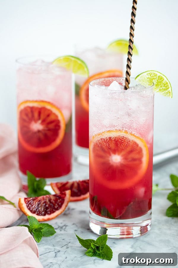 Pucker Up: Exploring the Universe of Sour Cocktails 22 Blood Orange Mojito Recipe