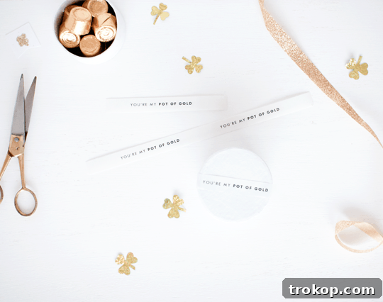 DIY Pot of Gold Love Printables 4 Another view of the DIY St. Patrick's Day 'Pot of Gold' gift box with festive details.