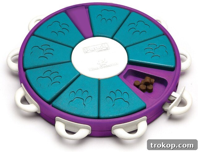 31 Pawsome Gift Ideas for Dog Owners 16 Nina Ottosson by Outward Hound Twister Puzzle Game Dog Toy, Blue & Purple