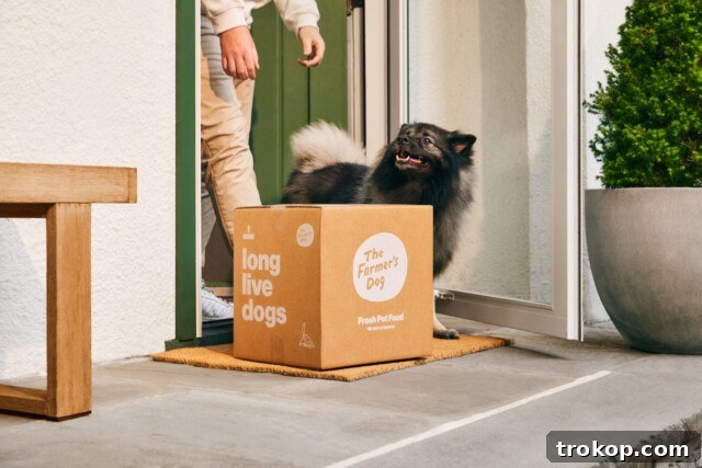 31 Pawsome Gift Ideas for Dog Owners 22 The Farmer's Dog Subscription for food for pet gifts