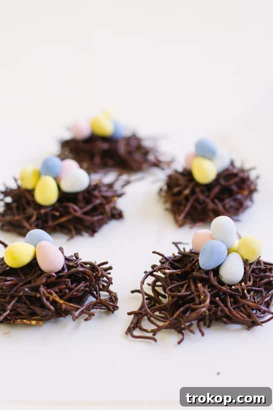 Chocolate Haystacks Nests: A Sweet Spring Treat 2 Chocolate Haystacks Birds Nest Cookies