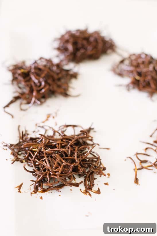 Chocolate Haystacks Nests: A Sweet Spring Treat 6 Melted Chocolate Coating Noodles