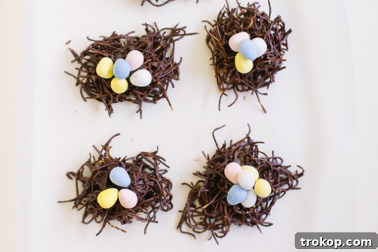Chocolate Haystacks Nests: A Sweet Spring Treat 7 Overhead Photo of Final Product