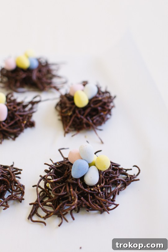 Chocolate Haystacks Nests: A Sweet Spring Treat 9 Side Angle Photo of Bird's Nest Cookies