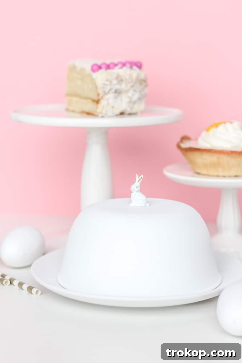 Crafting a Figurine Cake Cloche 2 DIY figurine cake dome with supplies from home