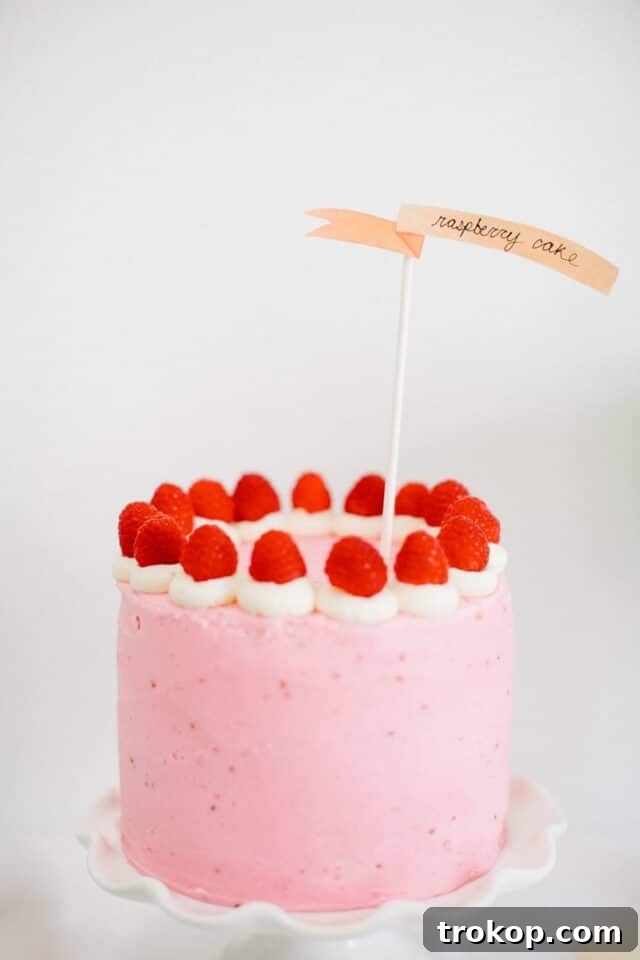 Finished Raspberry Layer Cake with fresh berries and mint