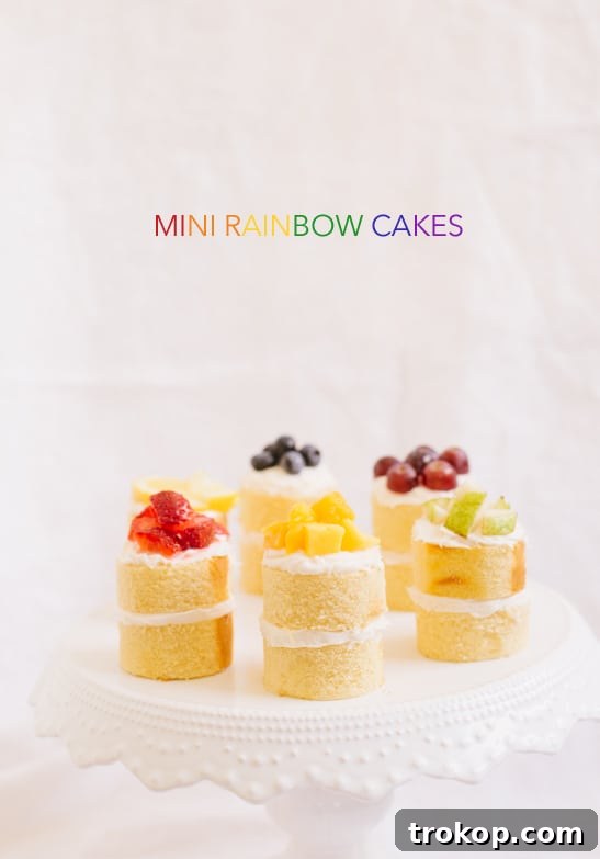 mini rainbow cake recipe | sugarandcloth.com