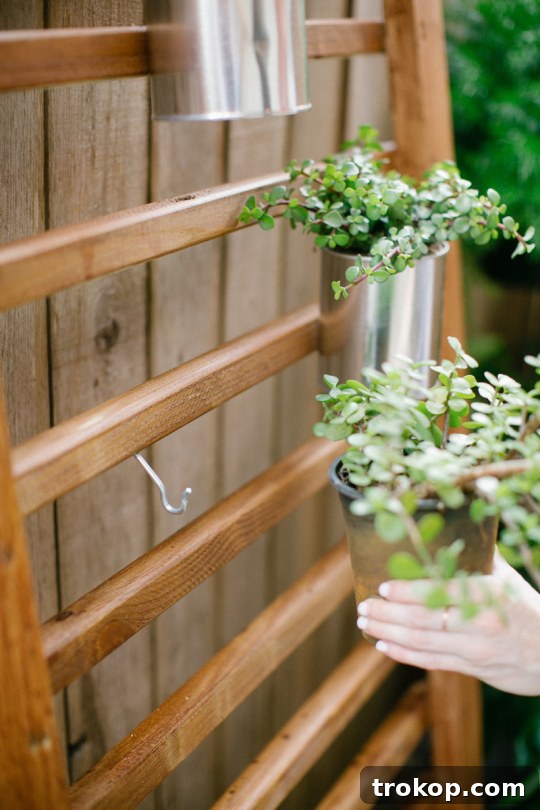 Attaching Planters to Vertical Garden Hanging succulents or herbs on a vertical planter