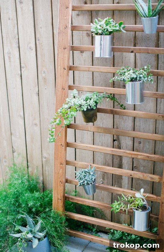 Completed DIY Vertical Succulent Garden Finished succulent wall vertical garden