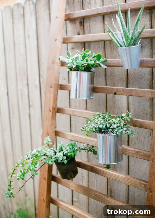DIY Vertical Garden with Succulents Finished DIY vertical garden succulent wall