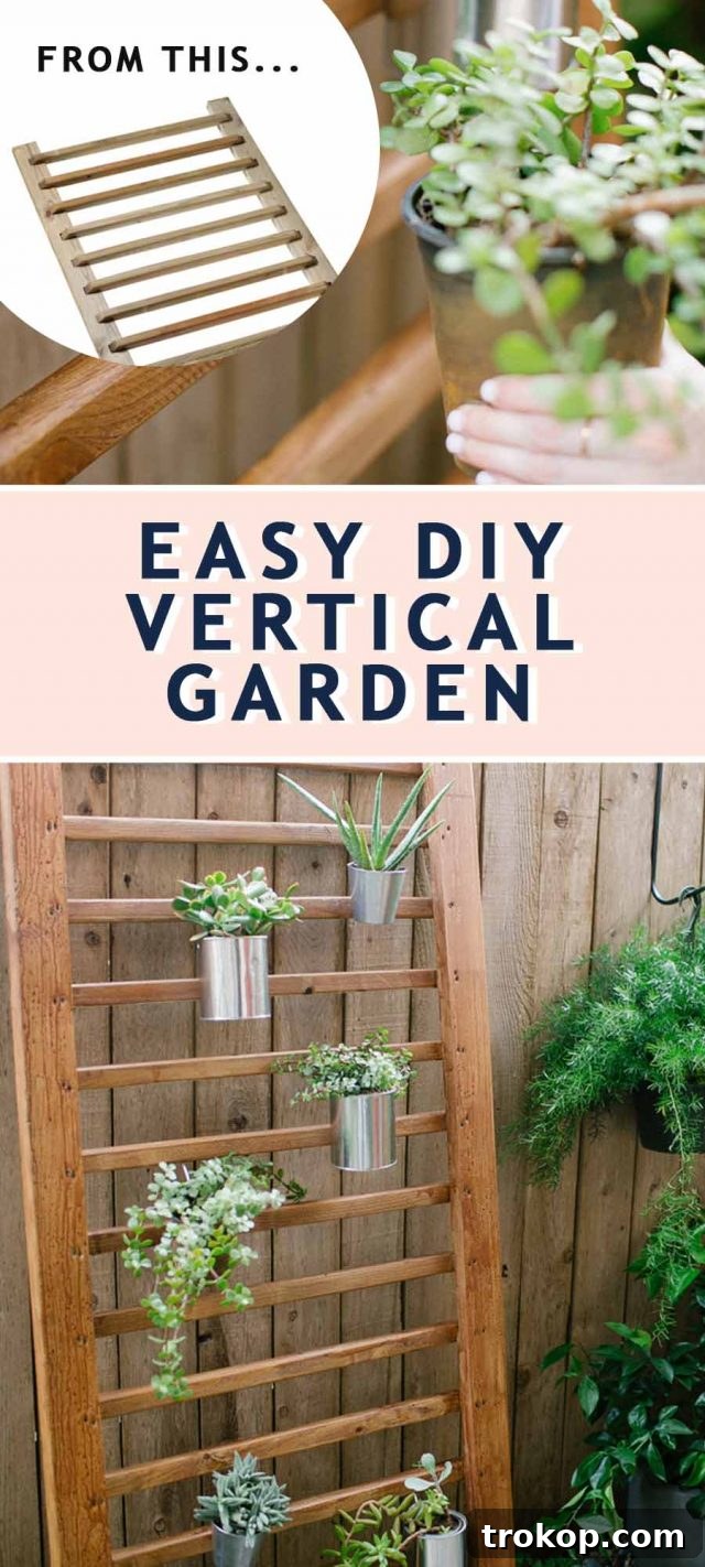 Wooden Handrail Vertical Garden DIY Backyard area with a wooden handrail as a diy vertical garden