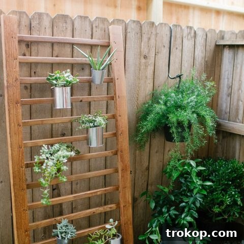 Original Title: Green Wall Wonders: A DIY Guide 2 DIY Vertical Garden