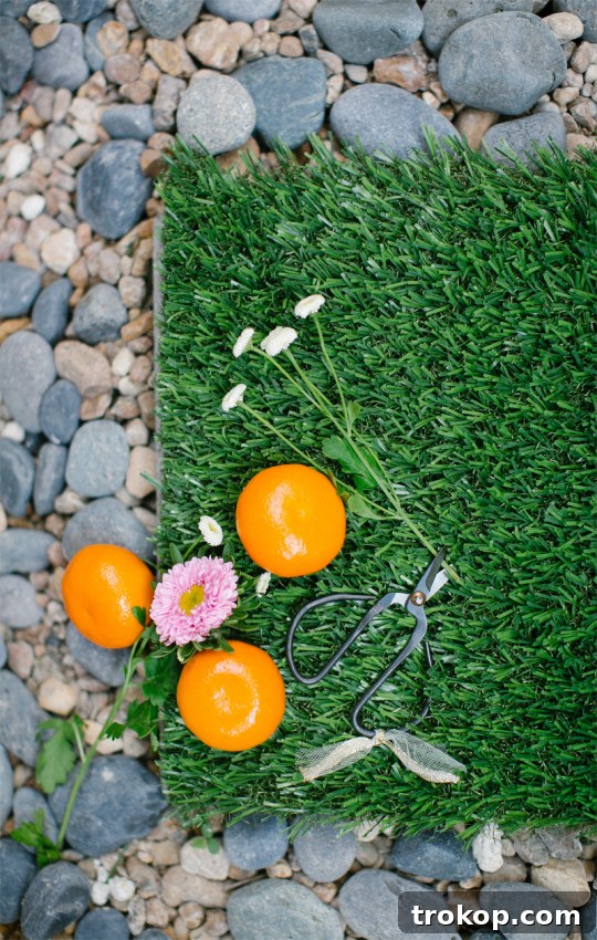 DIY faux grass stepping stones in a sunny garden